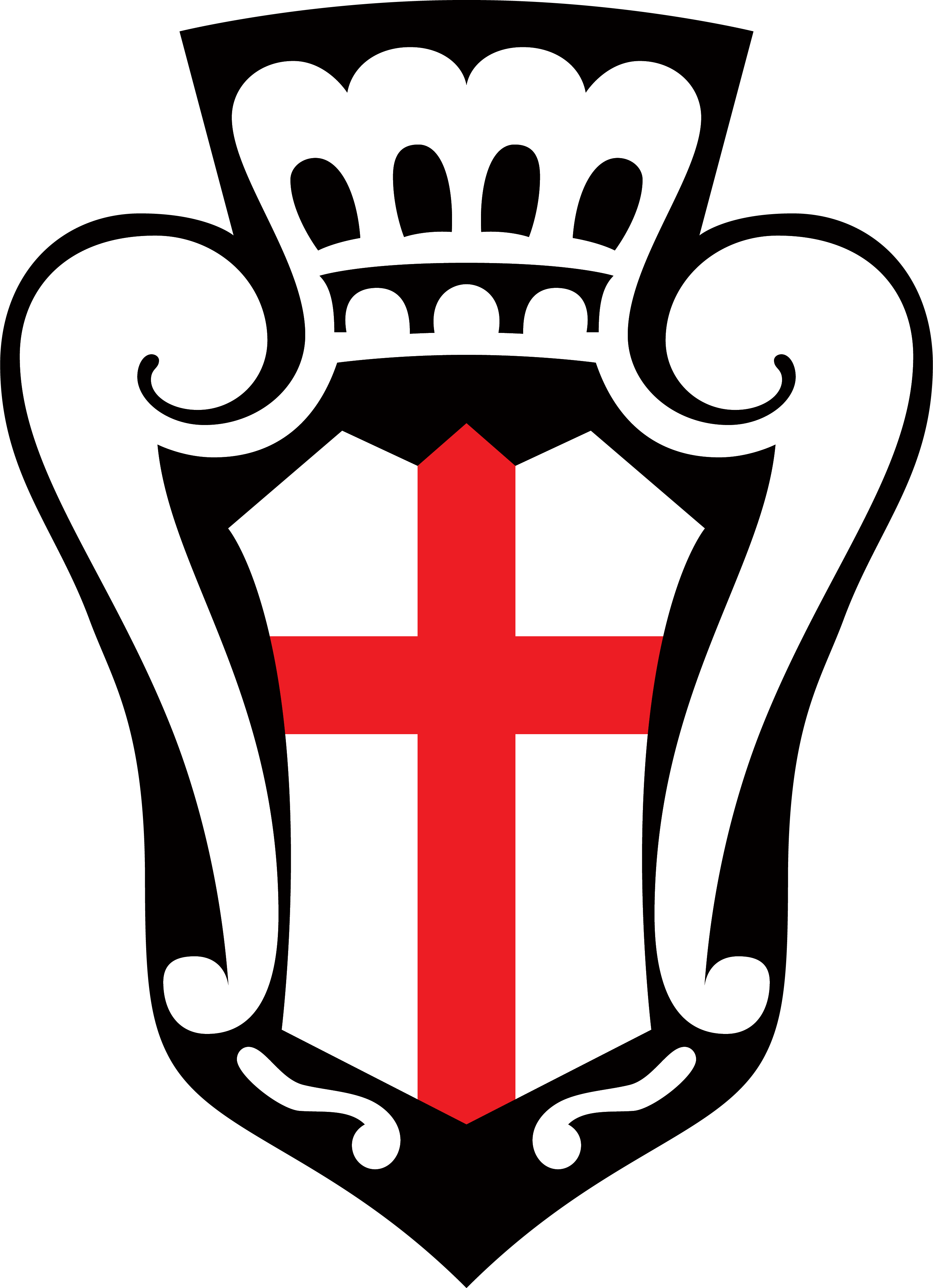 team Pro Vercelli